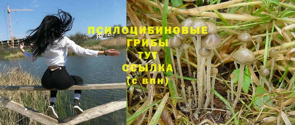 Альфа ПВП Алзамай