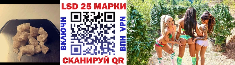 LSD-25 экстази кислота  наркошоп  это какой сайт  Пудож 